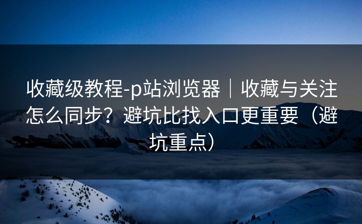 收藏级教程-p站浏览器｜收藏与关注怎么同步？避坑比找入口更重要（避坑重点）